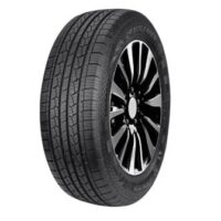 ds01_1_1_1_1_1_1_1_1