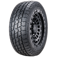 wild_track_at_13_1_1_1