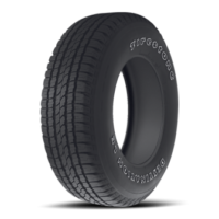 Firestone Destination LE 02