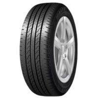 Maxxis Waltz MS1