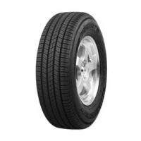 Accelera Omikron H/T