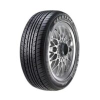 Deestone Nakara R301